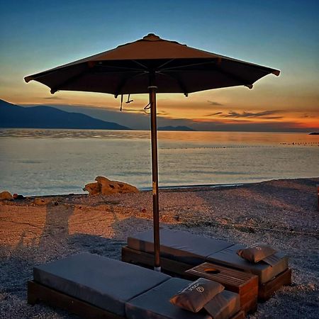 Vogue Boutique Hotel Vlorë エクステリア 写真
